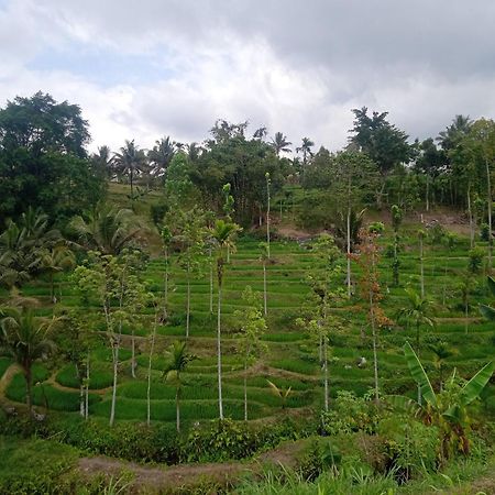 Tetebatu Sunrise Homestay Eksteriør billede