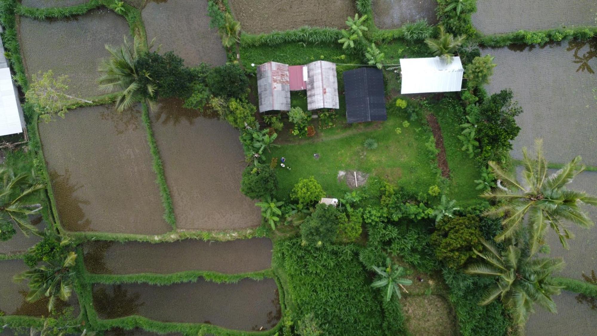 Tetebatu Sunrise Homestay Eksteriør billede
