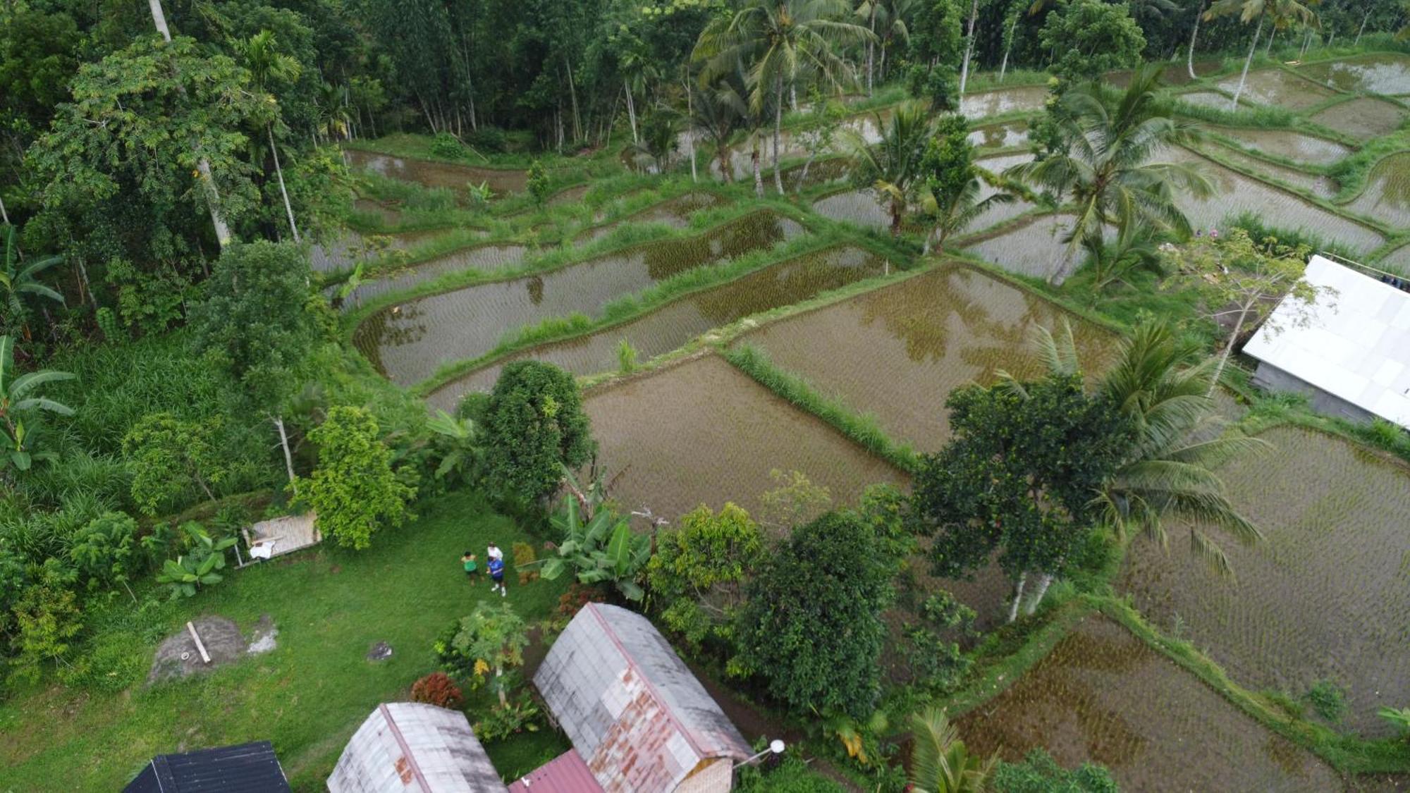 Tetebatu Sunrise Homestay Eksteriør billede