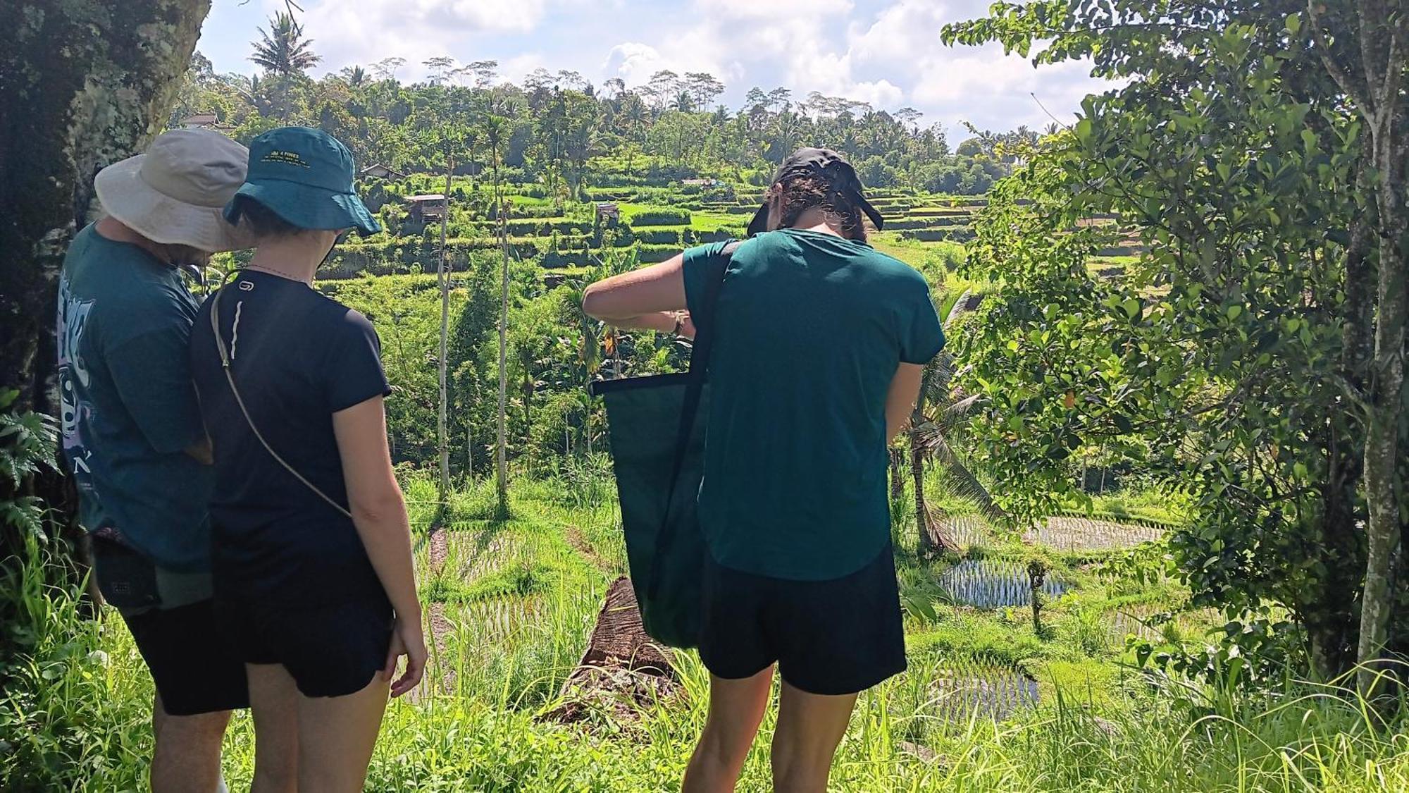 Tetebatu Sunrise Homestay Eksteriør billede