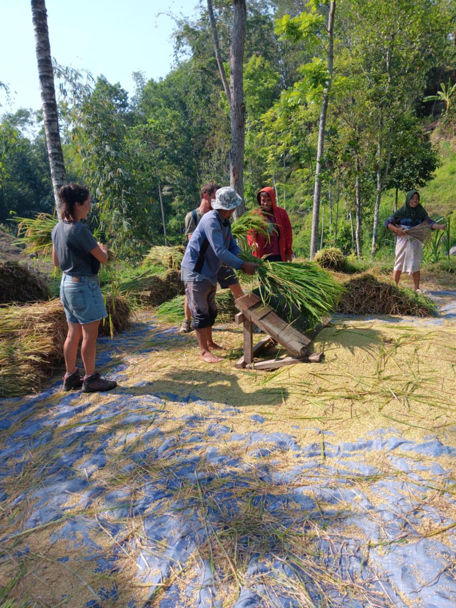 Tetebatu Sunrise Homestay Eksteriør billede