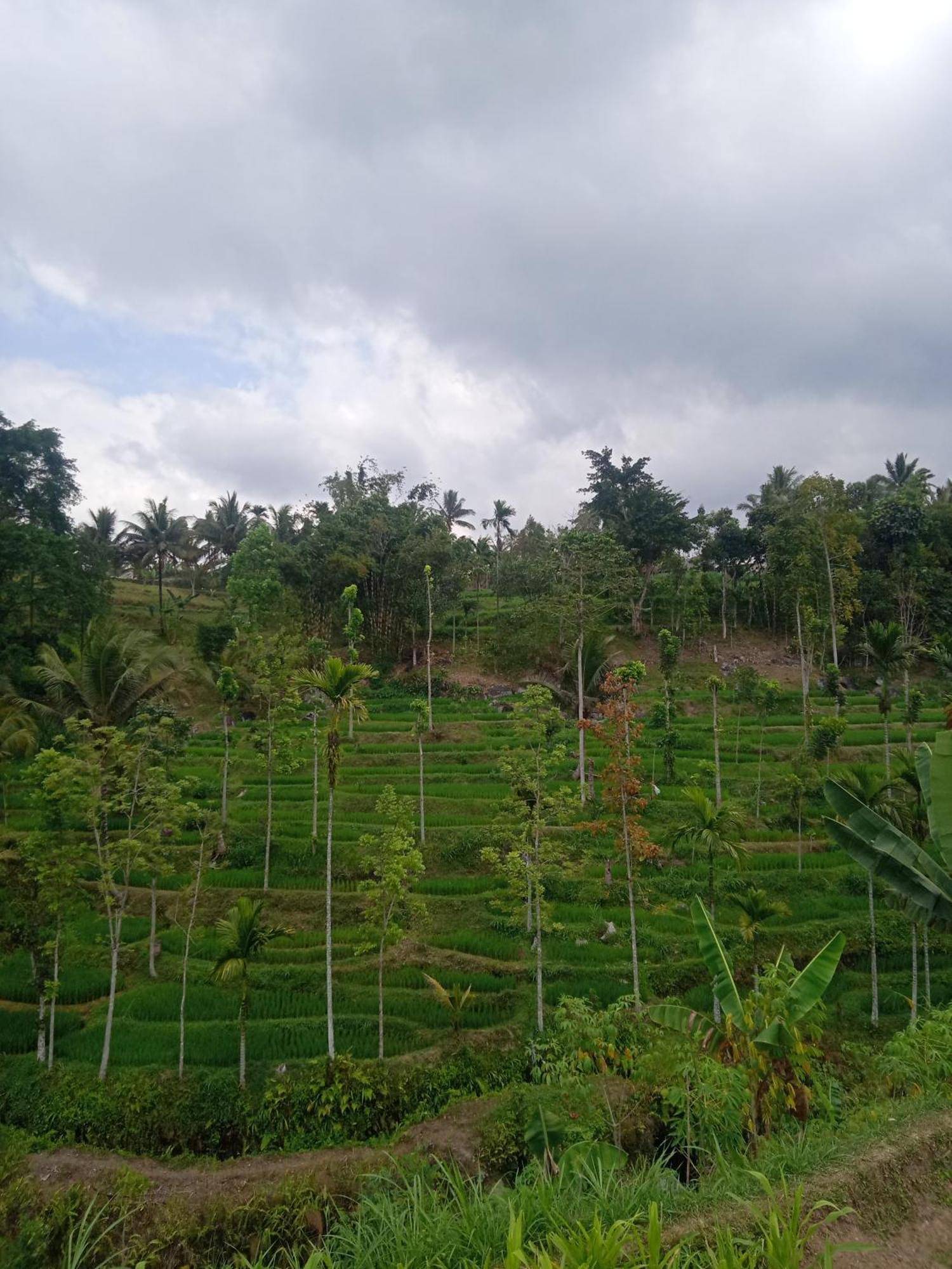 Tetebatu Sunrise Homestay Eksteriør billede